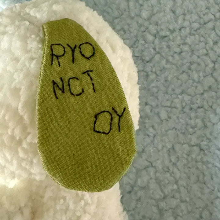 [BUNJANG] NCT WISH Ryo Tonttoni Handmade Doll / 엔시티 위시 료 톤톤이 자체제작 인형