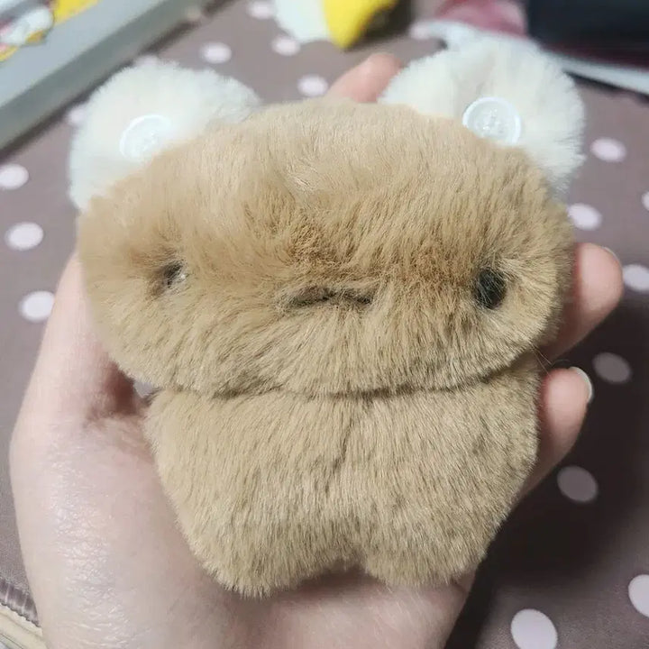 [BUNJANG] MyaMya Hazelnut Cat Handmade Doll / 핸드메이드 인형