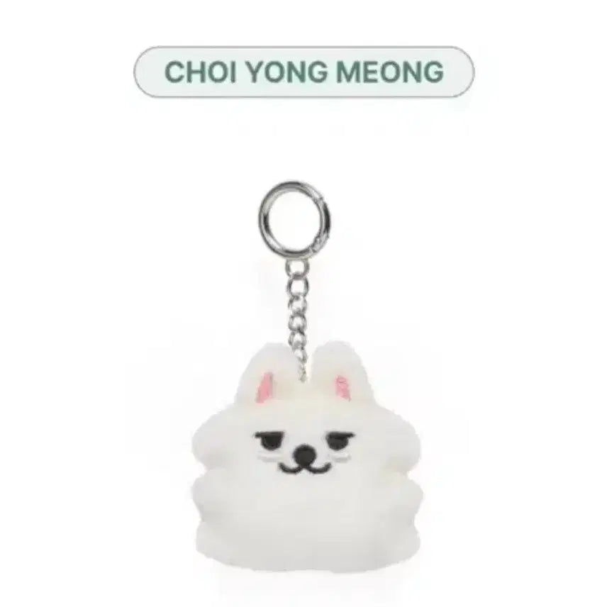 [SOLD OUT] 투바투 뿔바투 최용멍 수빈 페이스 키링 미개봉