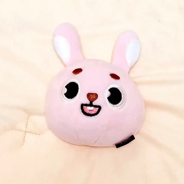 [SOLD OUT] 데이식스 데니멀즈 필끼 스트레스볼