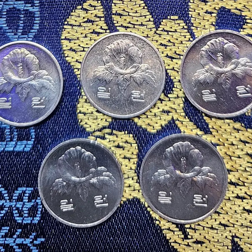 [BUNJANG] 1991 1 Won Coin Bundle (5 Pieces) / 1991년 1원 동전 5개일괄
