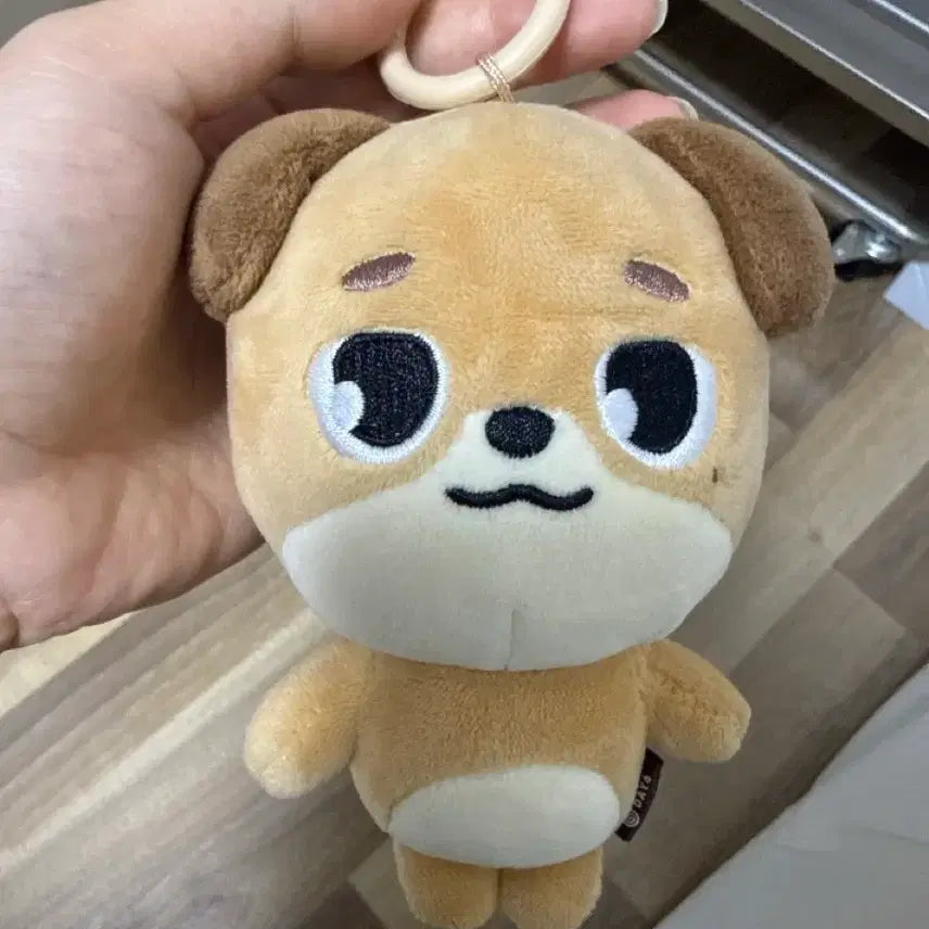 [SOLD OUT] 데니멀즈 돈 24기
