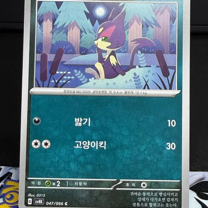 [BUNJANG] Saebinyang General Card A Grade / 쌔비냥 일반 카드 A급 [200원]