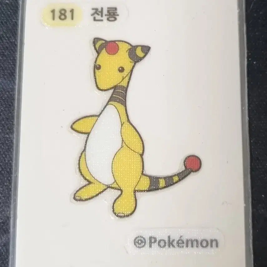[BUNJANG] 포켓몬 181 전룡 스티커 띠부씰 / 포켓몬 181 전룡 스티커 띠부씰