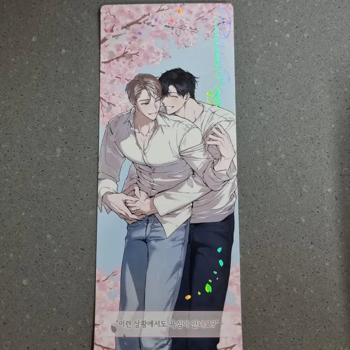 [SOLD OUT] 녹티아 패션라가 홀로그램 양면 장형포카