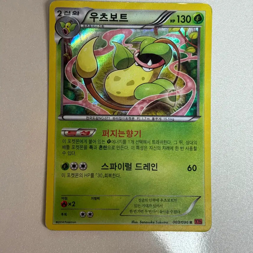 [BUNJANG] Pokemon Card - Victreebel / 포켓몬카드 우츠보트 판매 2