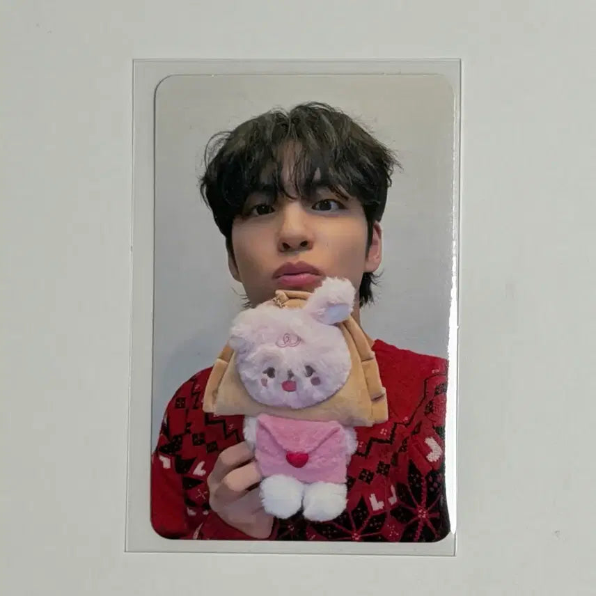 [SOLD OUT] [BUNJANG] Day6 Wonpil Photocard / 데이식스 전국투어 대구 4만원 포카 원필