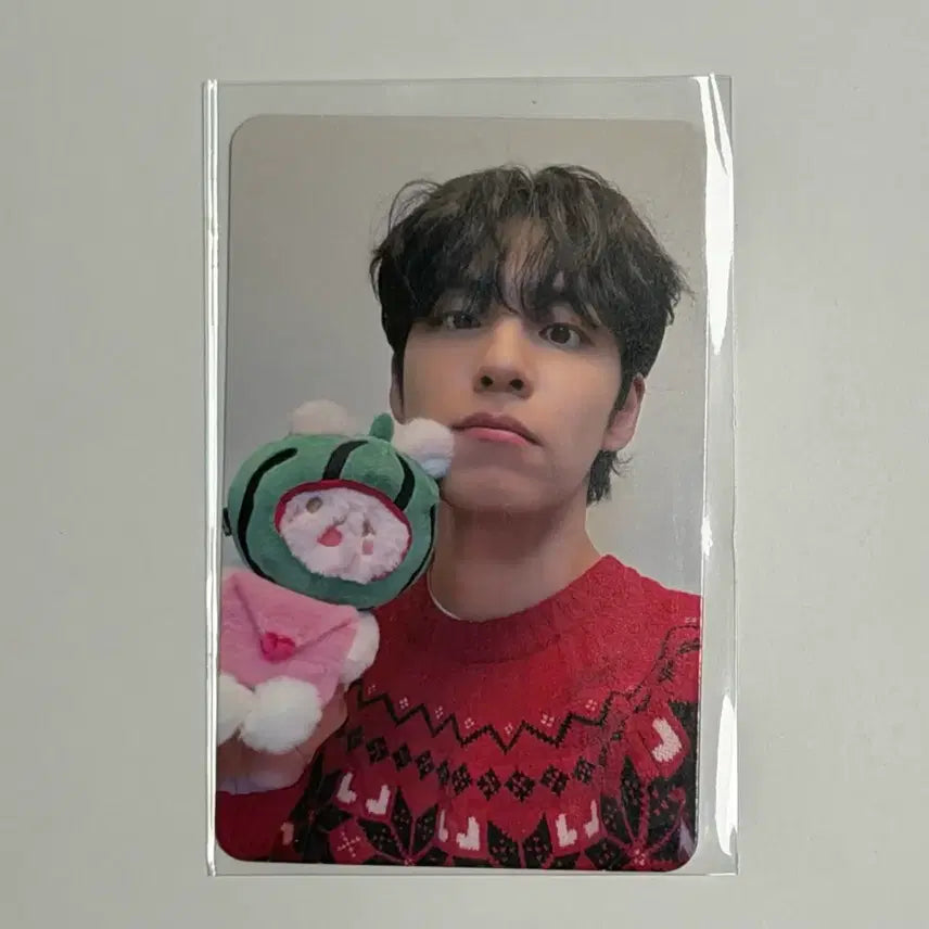 [SOLD OUT] [BUNJANG] Day6 Wonpil Photocard / 데이식스 전국투어 광주 4만원 포카 원필