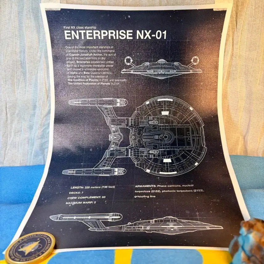 [BUNJANG] Star Trek Figure + Enterprise Ship &amp; U.S. Space Force / 스타트렉 피규어+엔터프라이즈호&amp;미국우주군