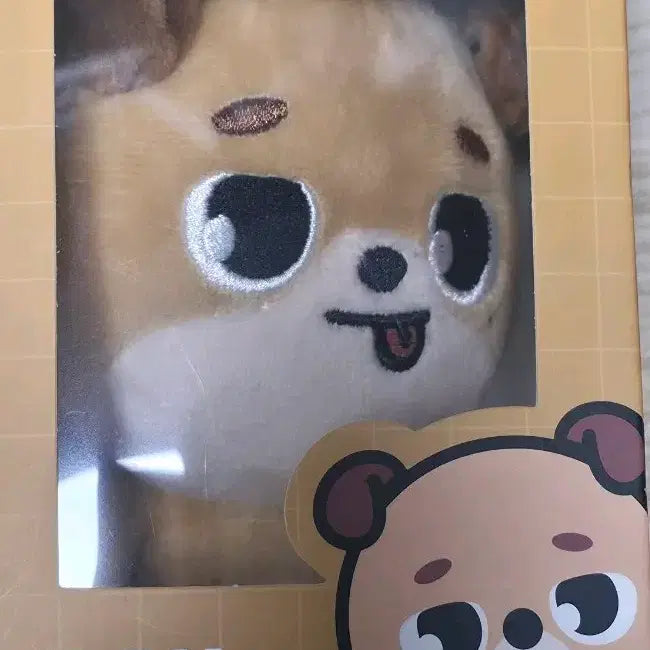 [SOLD OUT] 2022 메롱돈