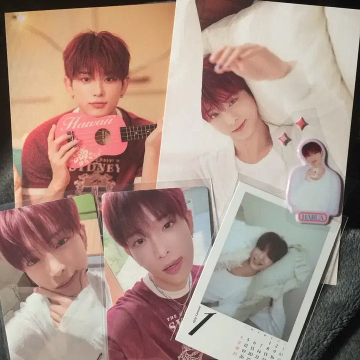 [BUNJANG] ENHYPEN 2026 Season&