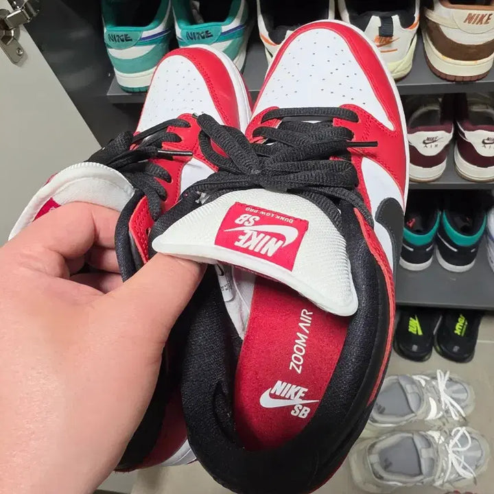 [BUNJANG] Nike Chicago SB Sneakers 265 / 나이키  시카고 sb   265