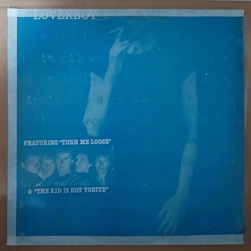 [BUNJANG] Loverboy Record LP / 러버보이 레코드 LP