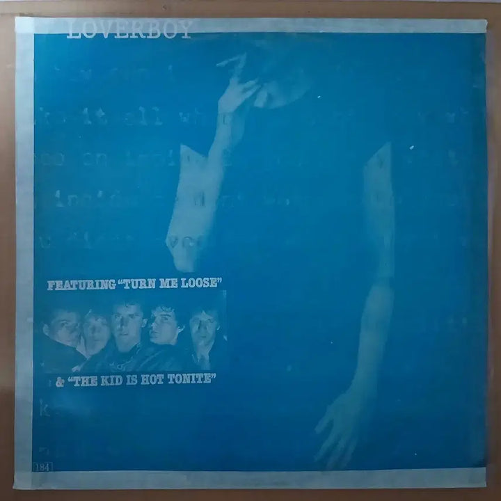 [BUNJANG] Loverboy Record LP / 러버보이 레코드 LP