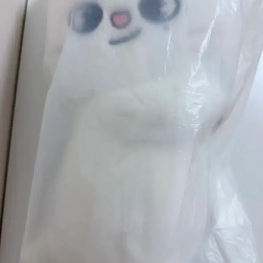 [SOLD OUT] 스트레이키즈 플러시백