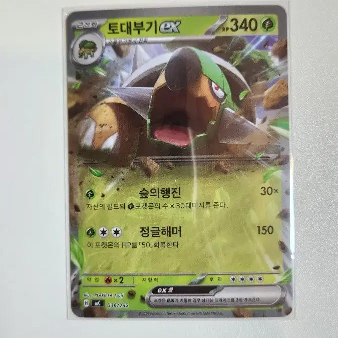 [SOLD OUT] 포켓몬 카드