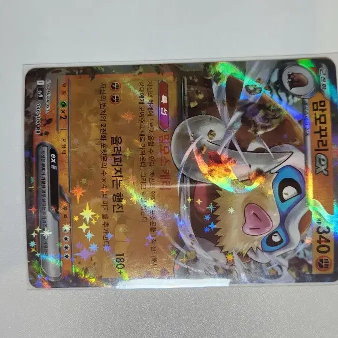 [SOLD OUT] 포켓몬 카드