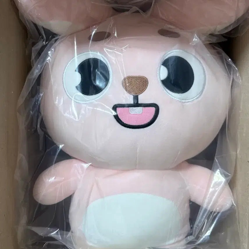 [SOLD OUT] 데이식스 자이언트 데니멀즈 미개봉(포카포함)