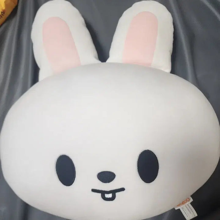 [SOLD OUT] SKZOO 리빗 쿠션 판매 합니다.