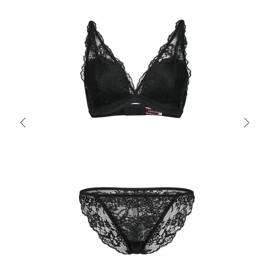 [BUNJANG] 퀸비아 란제리 세트 Quinvia Signature Set Black / 퀸비아 란제리 세트 Quinvia Signature Set Black