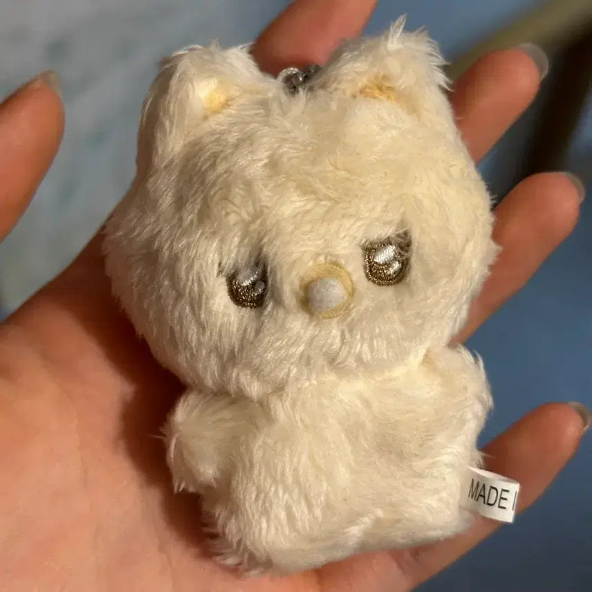 [SOLD OUT] 아기 우시짱 인형 양도