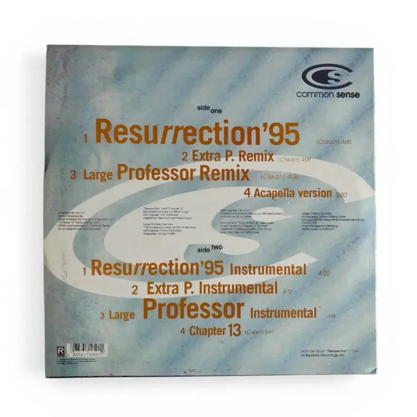 [BUNJANG] Common Sense Resurrection LP / 1995 Common Sense Resurrection LP