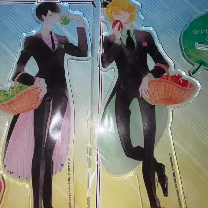 [BUNJANG] Medicos Doukyuusei Big Acrylic Standee Set Kusakabe Hikaru &amp; Sajou Rihito / 메디코스 동급생 빅아크릴 일괄 카키오로시 쿠사카베 히카루 사죠 리히토