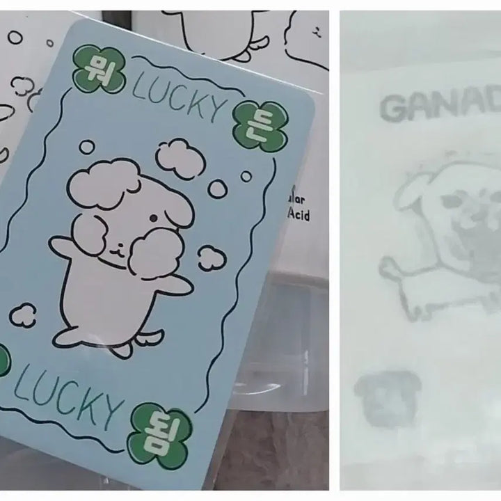 [BUNJANG] Ganadi Toriden Photocard + Sticker Bundle Set / 가나디 토리든 포토카드+띠부실 일괄