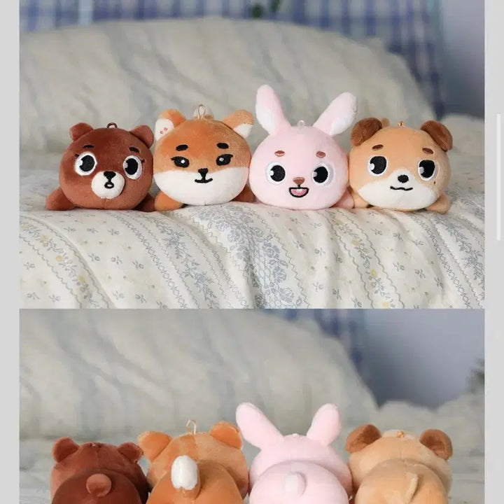 [SOLD OUT] 데이식스 데니멀즈 방/케