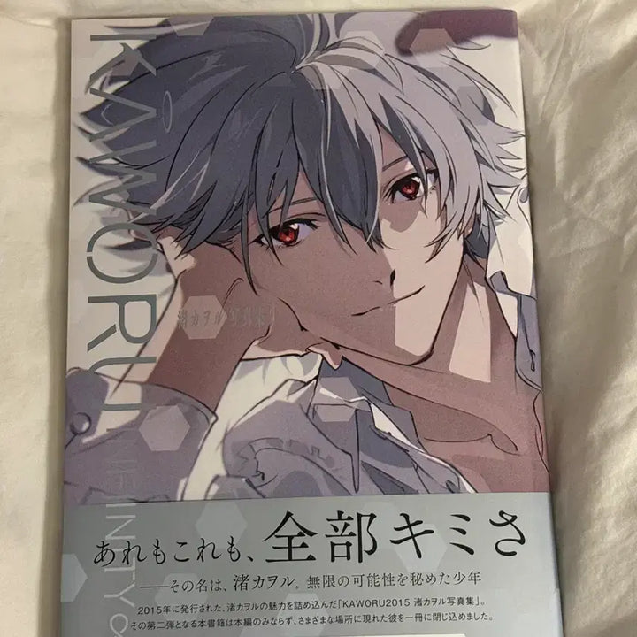 [BUNJANG] Evangelion Nagisa Kaworu Infinity Photo Book / 에반게리온 나기사 카오루 인피니티 사진집