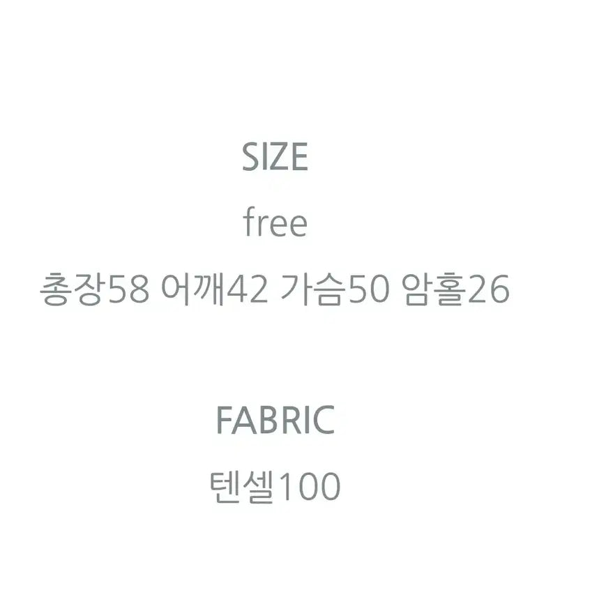[BUNJANG] Basket Sheer Ribbon Blouse / 바스켓  시스루 리본 블라우스