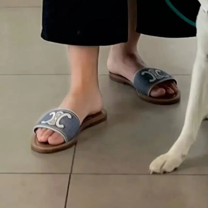 [BUNJANG] Celine Limpia Mules 40 (250-255) / 셀린느 슬리퍼 림피아 뮬 40(250-255)