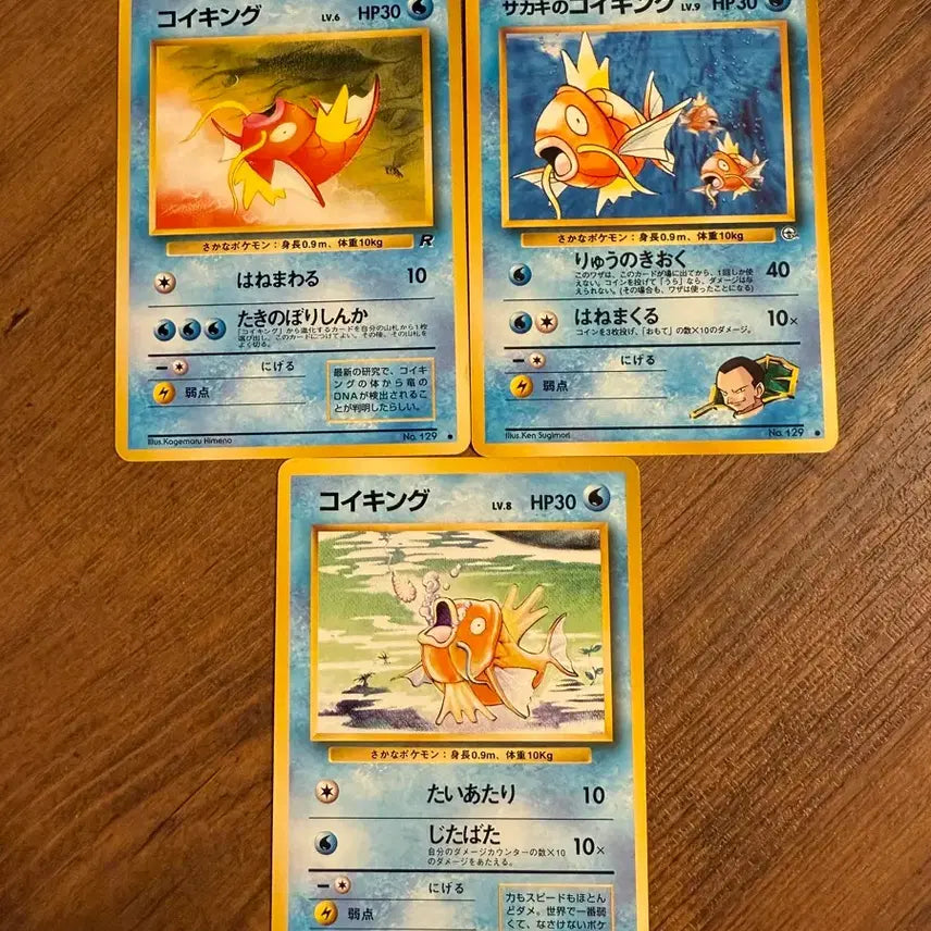 [BUNJANG] Pokemon Gyarados Card Set / 포켓몬카드 초기 잉어킹 세트