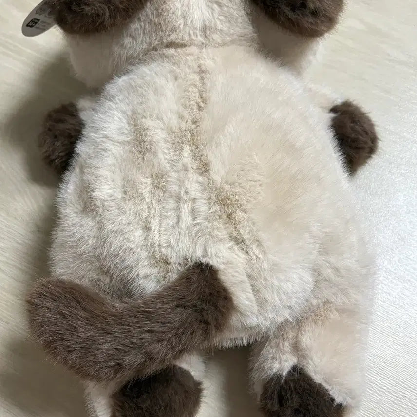 [SOLD OUT] 라이어캣츠 샤미 중형 고양이 인형 새상품