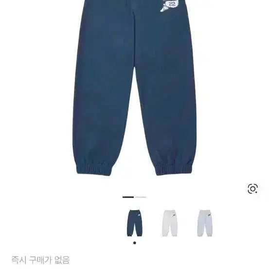 [BUNJANG] Champion Blue Tag Jogger Pants / 챔피온 리버스위브 블루택 콜라보 조거 팬츠 블루그레이