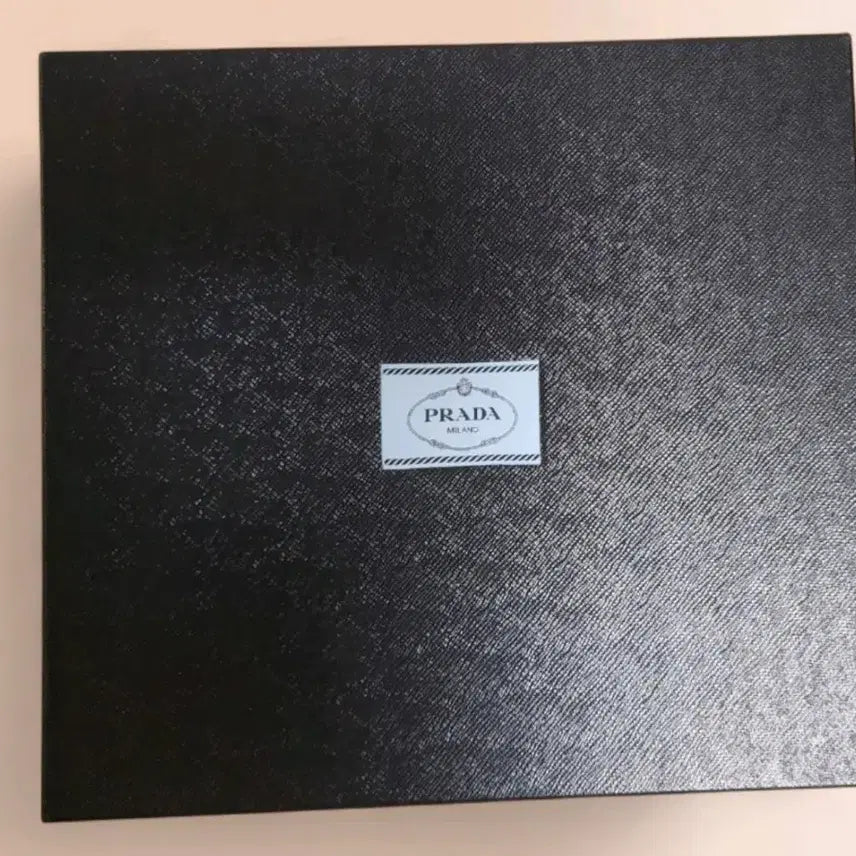 [BUNJANG] Prada Large Case with Shopping Bag / 프라다  가방 박스 대형 케이스 (쇼핑백 증정)