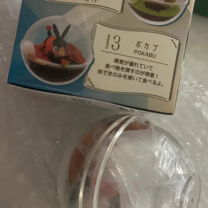 [BUNJANG] Re-Ment Terrarium Ttukkuri Figure / 리멘트 테라리움 피규어 뚜꾸리