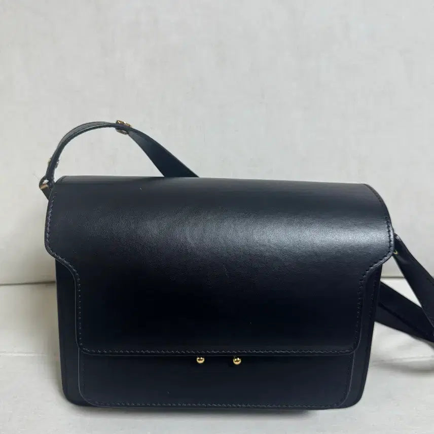 [BUNJANG] Marni Trunk Bag Medium Calfskin / 마르니 트렁크백 카프스킨 미듐