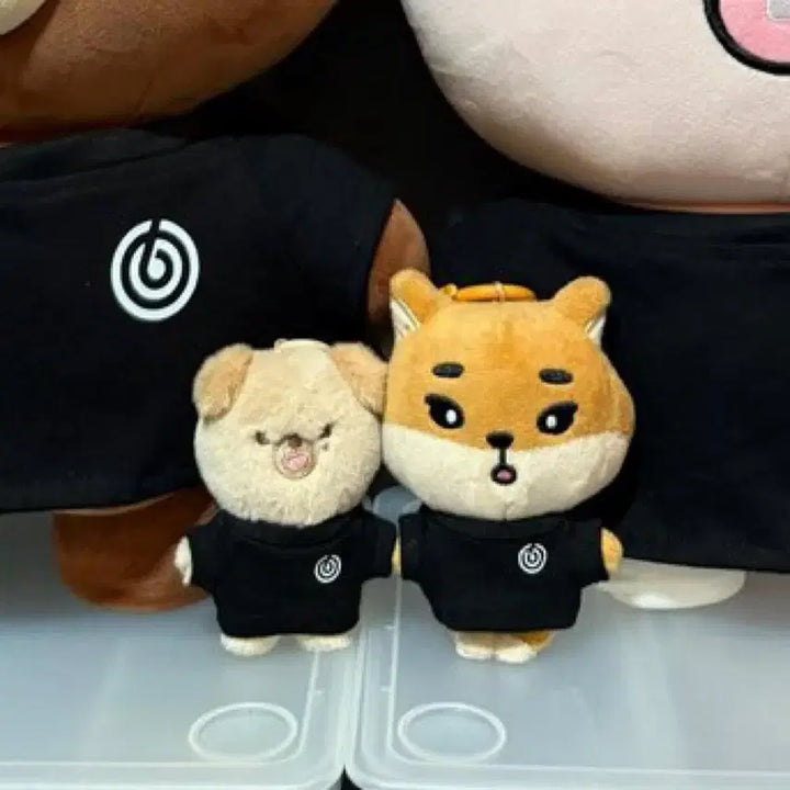 [SOLD OUT] 데니멀즈 24 돈 팀 데이식스 티셔츠 티 옷 코스튬 데이식스 도운 반팔