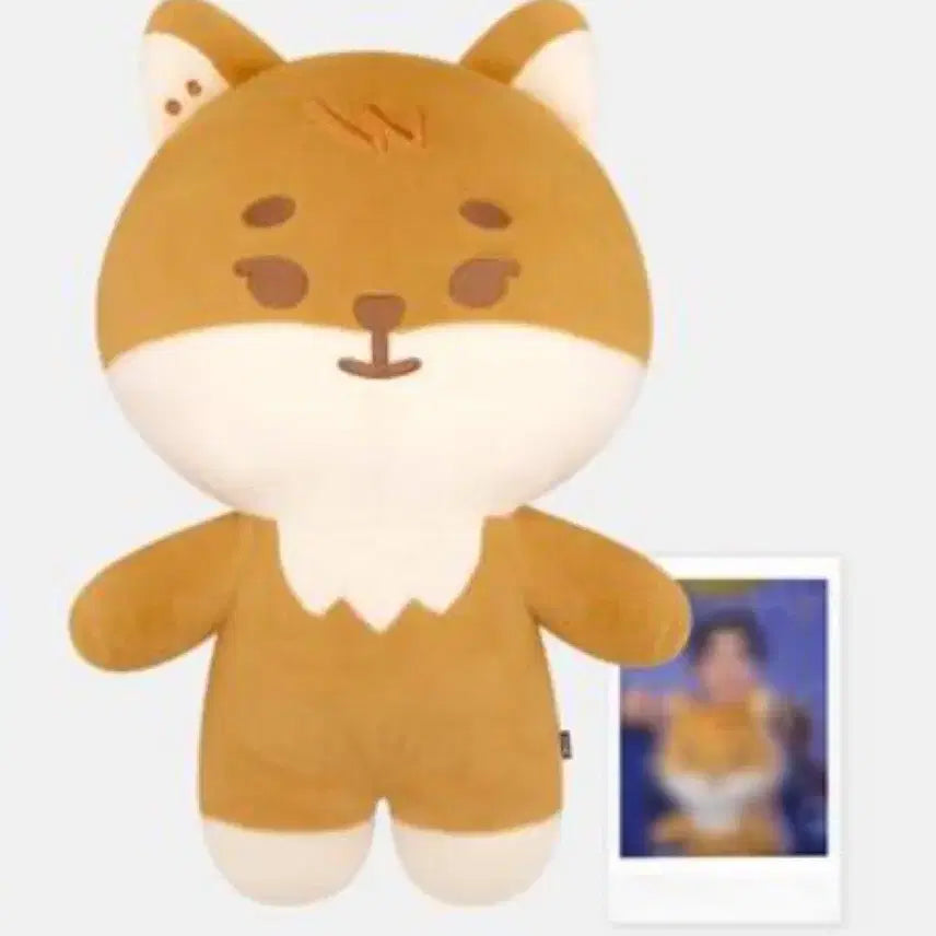 [BUNJANG] Giant Petit Merz Petit Merz Petit K PET / 자이언트 쁘띠멀즈 자쁘멀 자쁘케