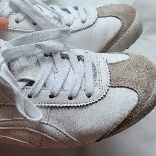 [BUNJANG] Onitsuka Tiger Sneakers / 오니츠카타이거 240
