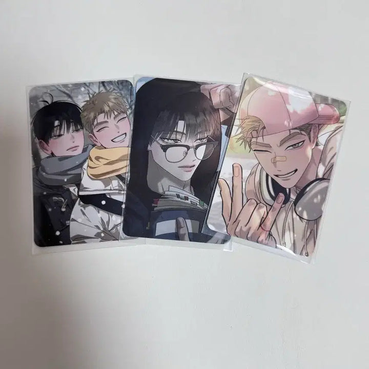 [BUNJANG] Hongsil Quest Photocard Bundle Set / 홍실퀘스트 포토카드 스페셜 3장 일괄