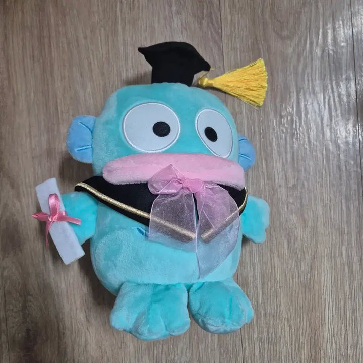 [BUNJANG] Hangyodon Graduation Doll / 한교동 졸업식 인형