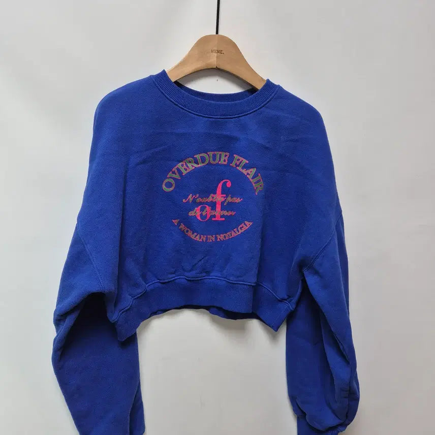 [BUNJANG] Overdue Flare Cropped Sweatshirt / (83) 오버듀플레어 크롭 맨투맨