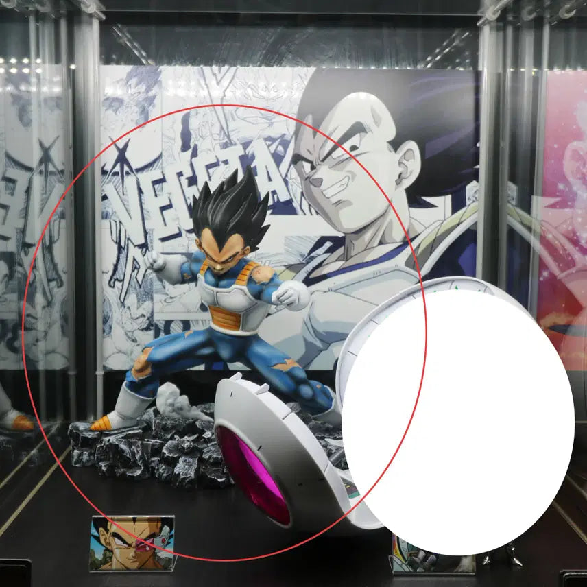 [BUNJANG] Vegeta Normal Resin Figure / 베지터 노말 레진(개봉확인)