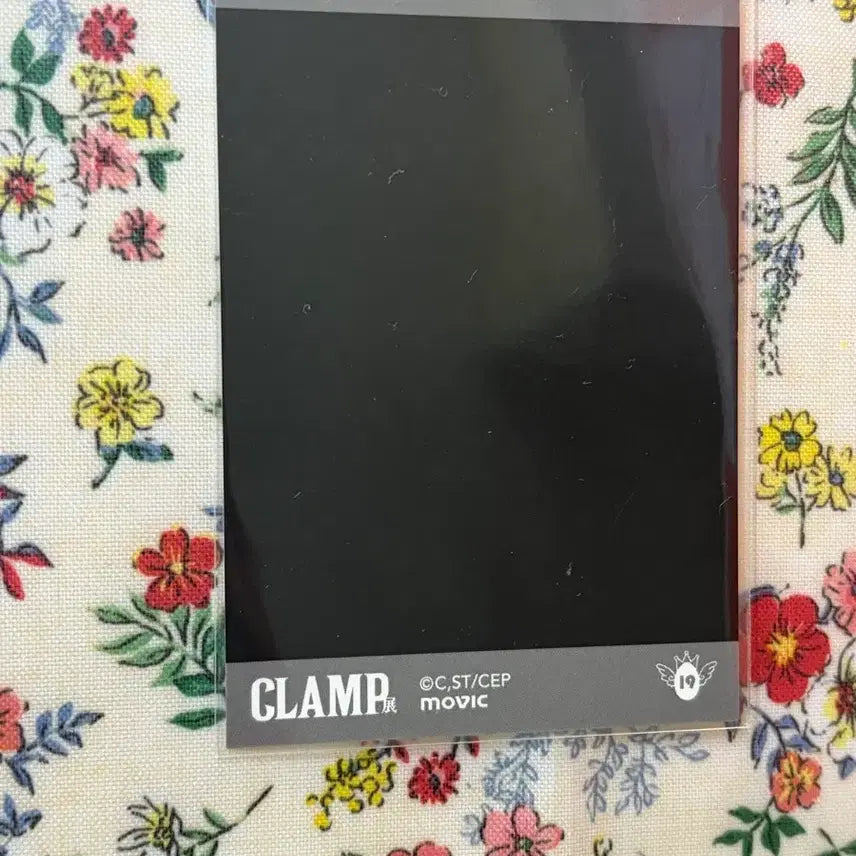 [SOLD OUT] 클램프전 파샤코레 와타누키 유코 홀릭