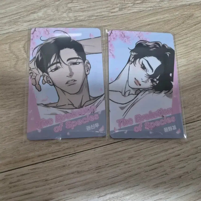[BUNJANG] NCT Dream Horizon Random Photocard Set / 녹티아 팝업 호라이즌 랜덤 포토카드 종의진화 공수 세트(2장가격)