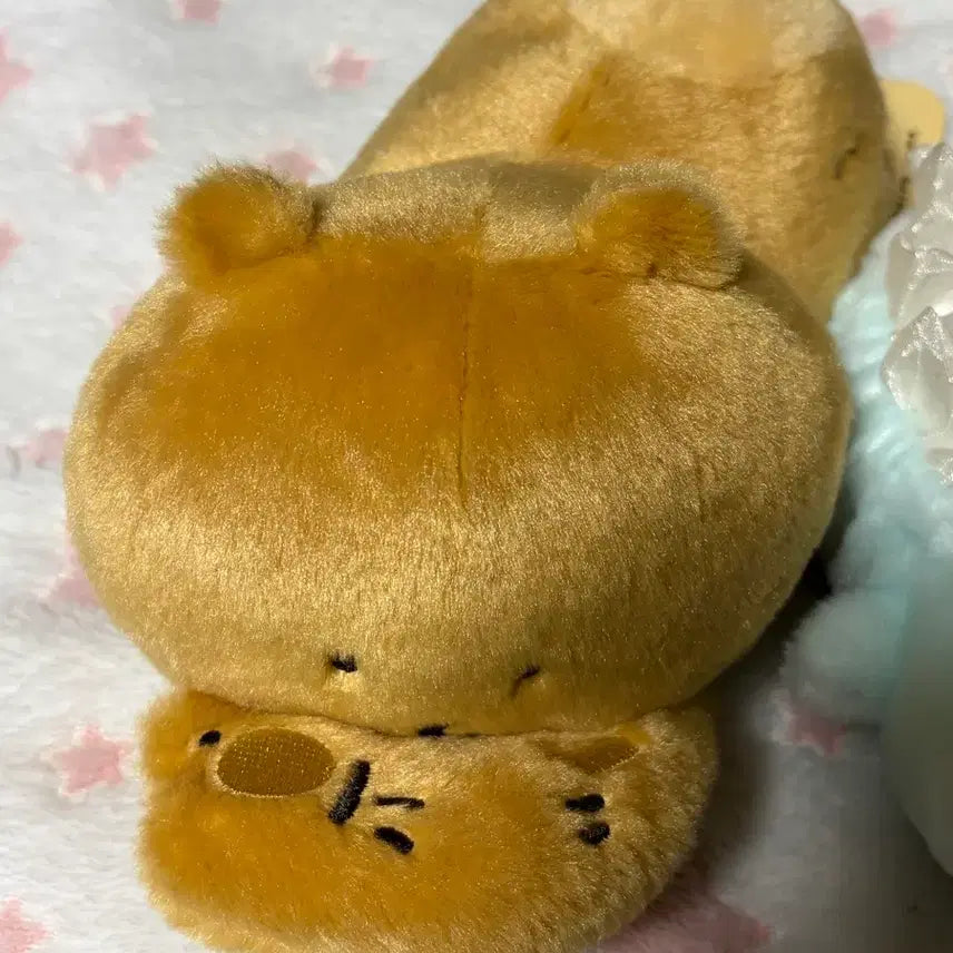 [BUNJANG] Nongdamgom Baby Nongdamgom Wooden Doll "Nui" Bundle Set / 일괄)나가노 담곰이 농담곰 베이비 농담곰 목각곰 인형 누이