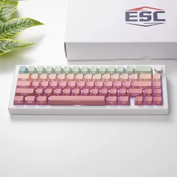 [BUNJANG] Rainbow Gradient Keycap Set / 무지개 그라데이션 키캡
