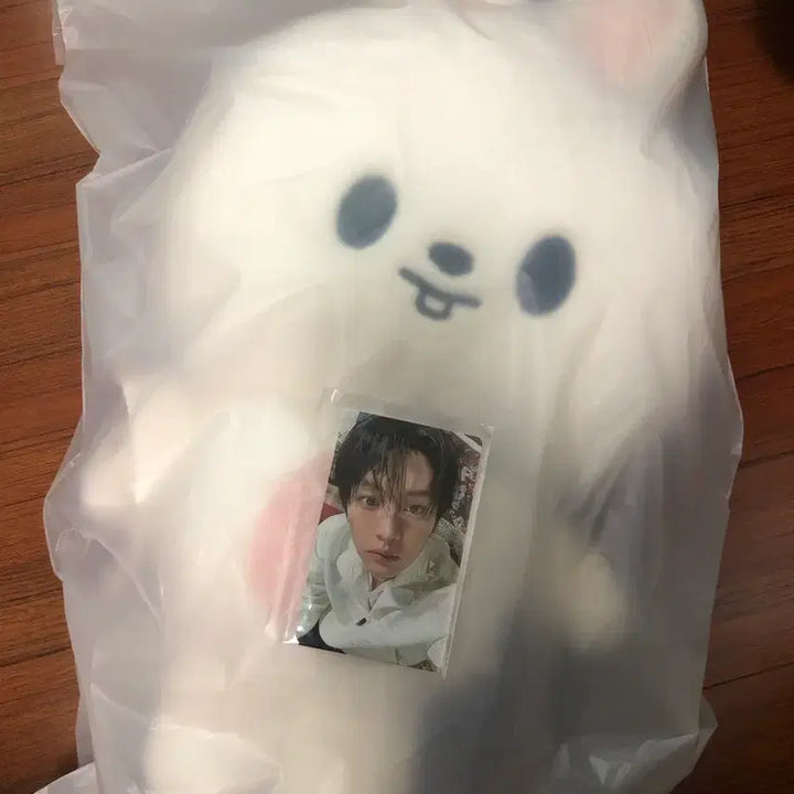 [SOLD OUT] [포카 포함] 스트레이키즈 스키즈 스키주 플러시 백팩 가방 백 리빗 리노